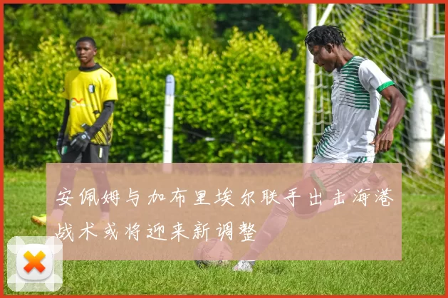 安佩姆与加布里埃尔联手出击海港战术或将迎来新调整